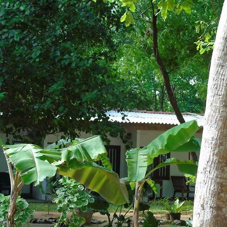 Talalla Coconut Hotel 外观 照片