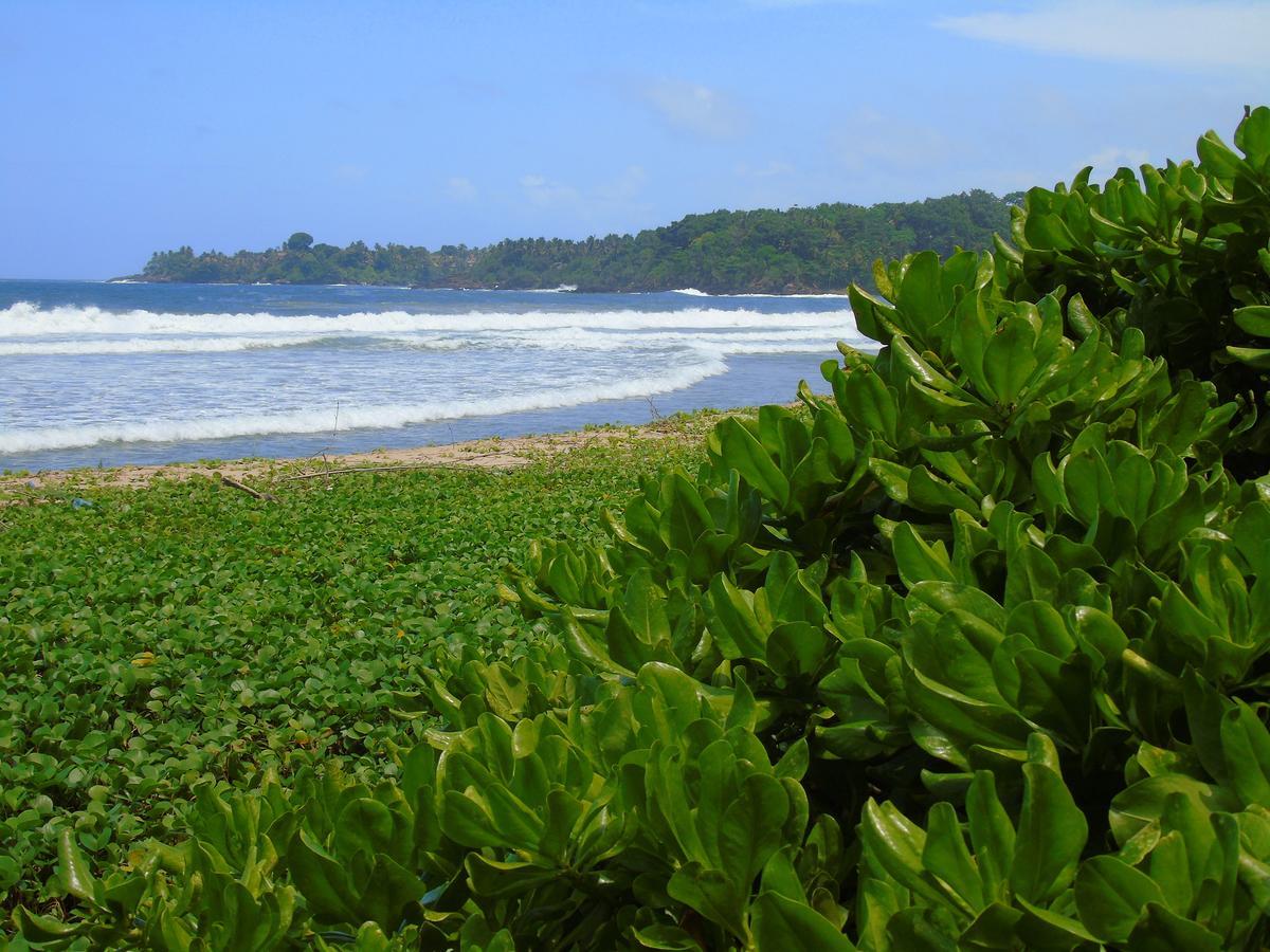Talalla Coconut Hotel 外观 照片