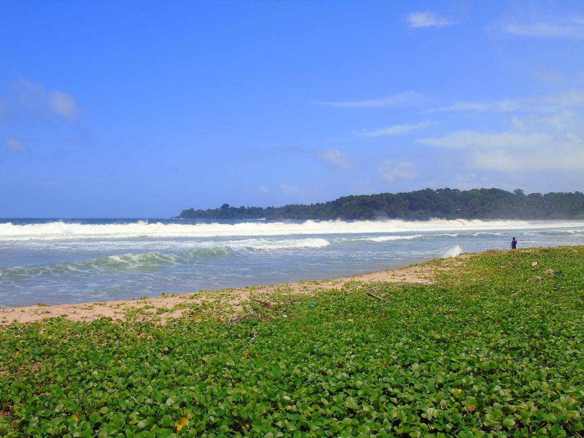 Talalla Coconut Hotel 外观 照片
