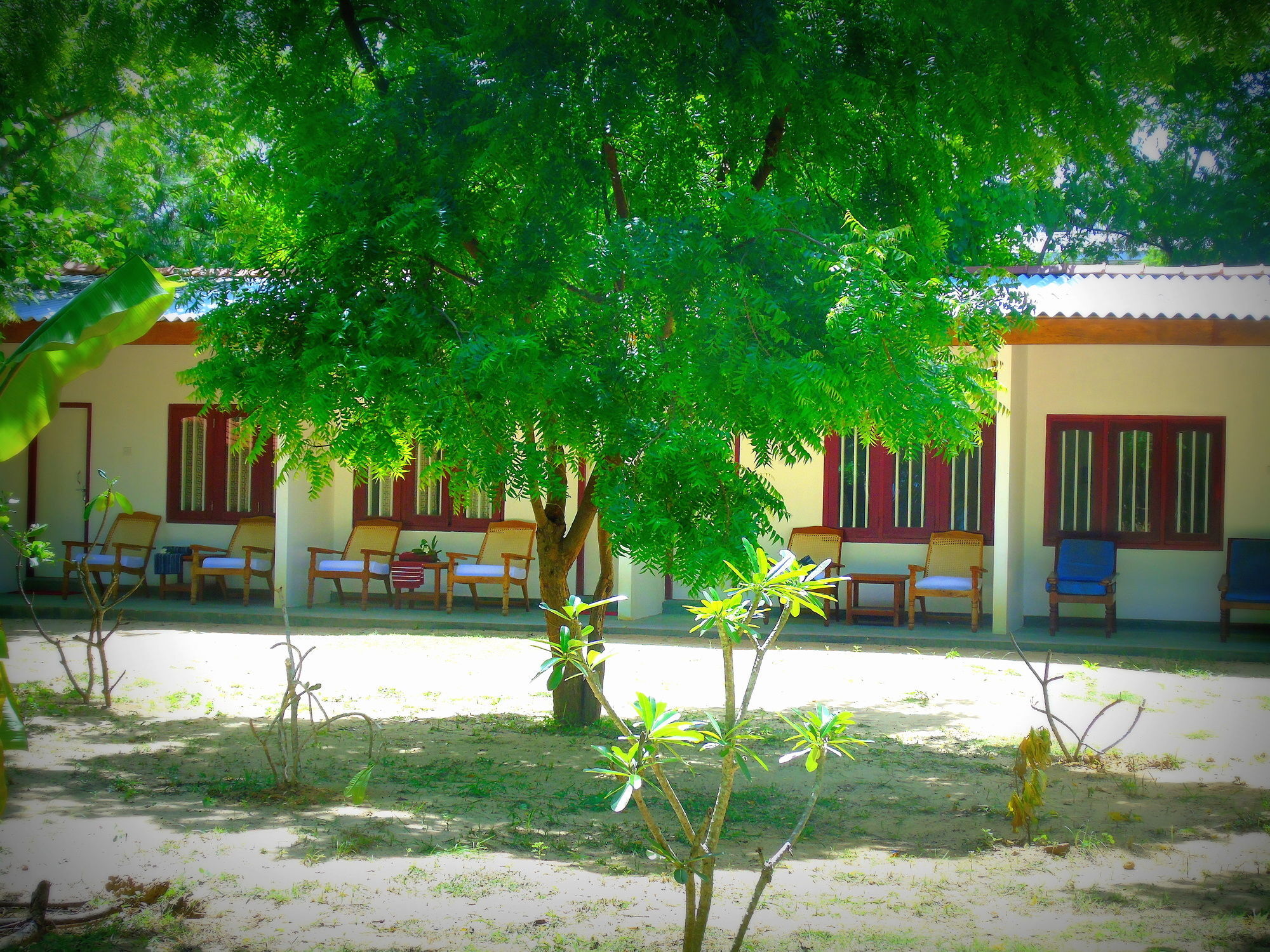 Talalla Coconut Hotel 外观 照片