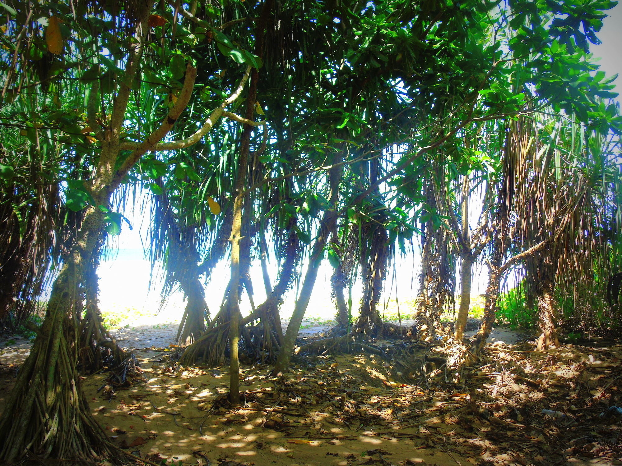 Talalla Coconut Hotel 外观 照片