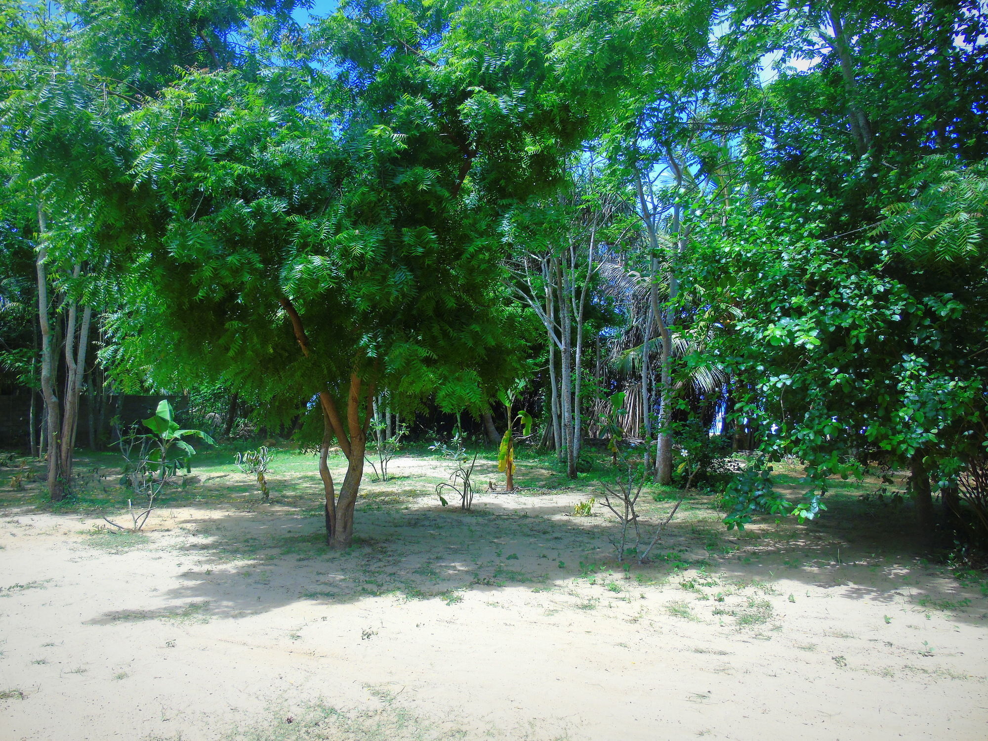 Talalla Coconut Hotel 外观 照片