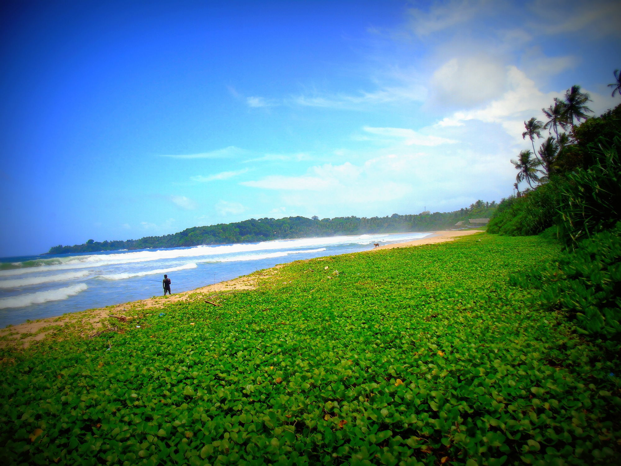 Talalla Coconut Hotel 外观 照片